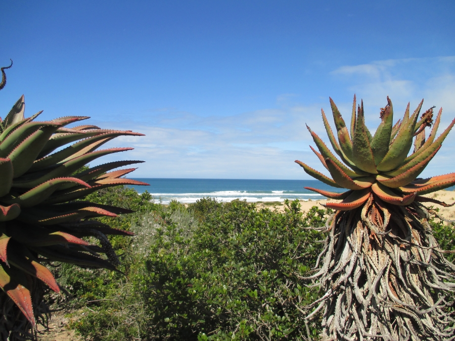 0 Bedroom Property for Sale in Nautilus Bay Western Cape